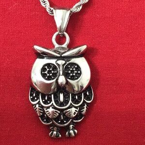XMAS Animal lovers stainless steel owl pendant & chain.